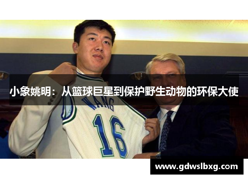 小象姚明：从篮球巨星到保护野生动物的环保大使