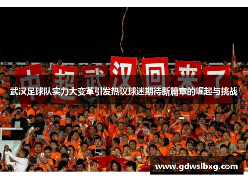 武汉足球队实力大变革引发热议球迷期待新篇章的崛起与挑战