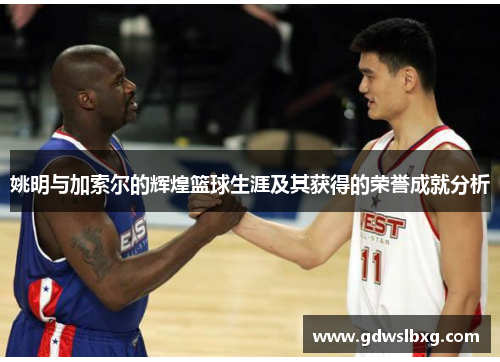 姚明与加索尔的辉煌篮球生涯及其获得的荣誉成就分析