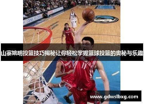 山寨姚明投篮技巧揭秘让你轻松掌握篮球投篮的奥秘与乐趣