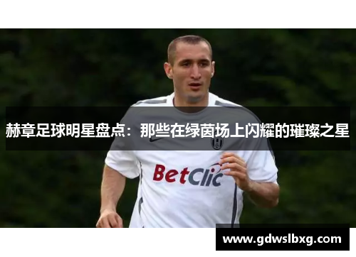 赫章足球明星盘点：那些在绿茵场上闪耀的璀璨之星