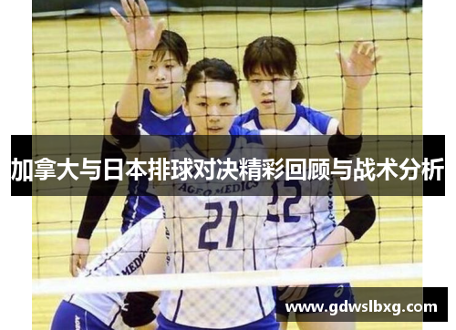 加拿大与日本排球对决精彩回顾与战术分析